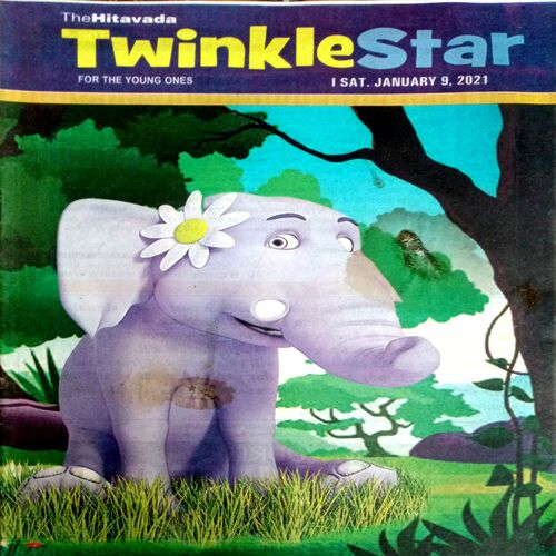 Twinkle Star (9 Jan 2021)