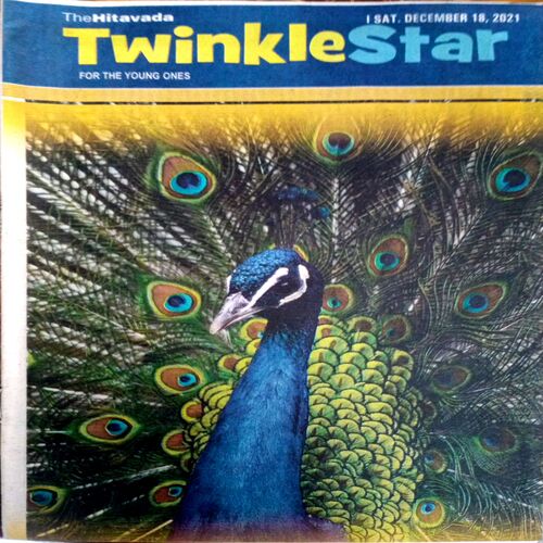 Twinkle Star (18 Dec 2021)
