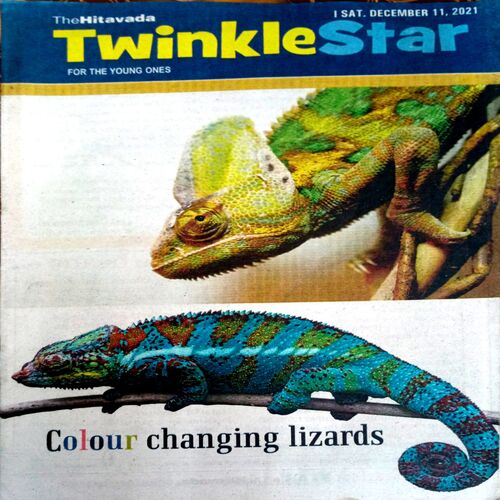 Twinkle Star (11 Dec 2021)