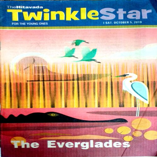 Twinkle Star (5 Oct 2019)