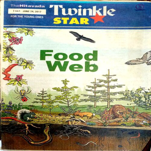 Twinkle Star (24 June 2017)
