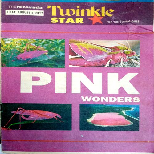 Twinkle Star (5 Aug 2017)