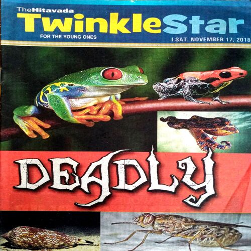Twinkle Star (17 Nov 2018)
