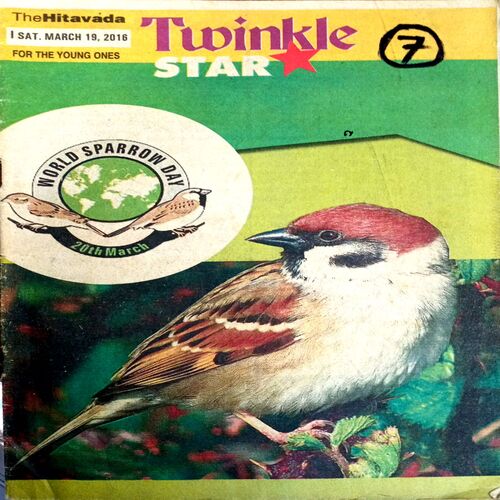 Twinkle Star (19 March 2016)