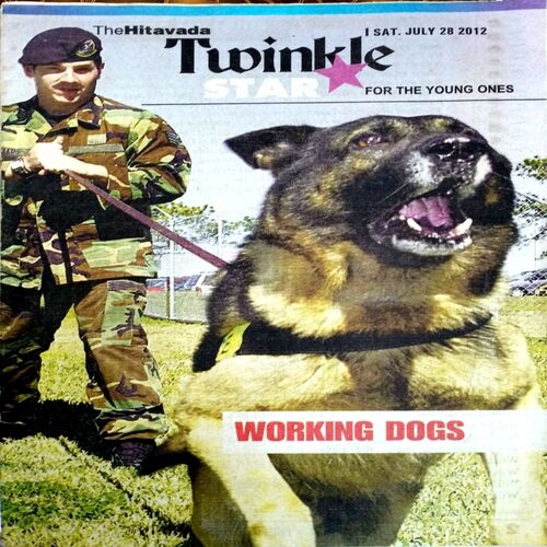 Twinkle Star (28 July 2012)