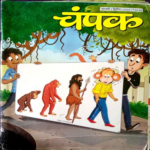 Champak (Feb 2nd 2020)