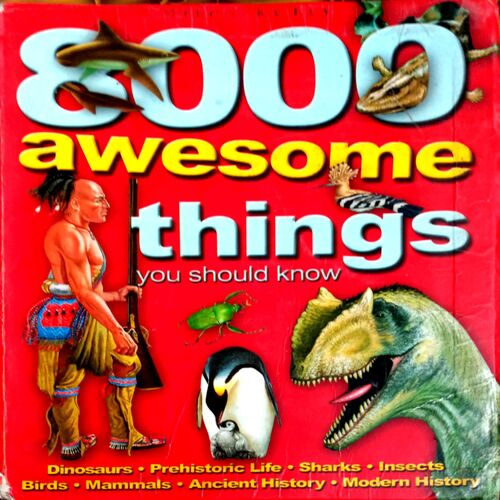 8000 Awesome Things