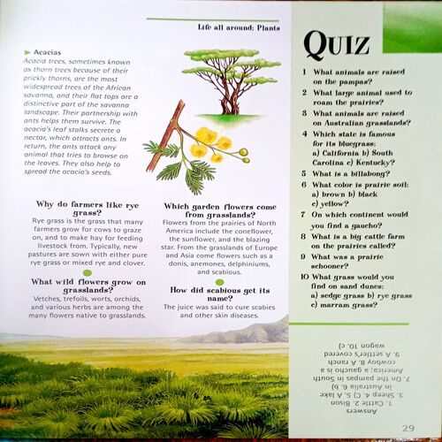 Amazing Book Of Question And Answers