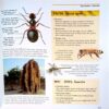 Amazing Book Of Facts