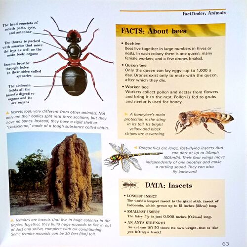Amazing Book Of Facts