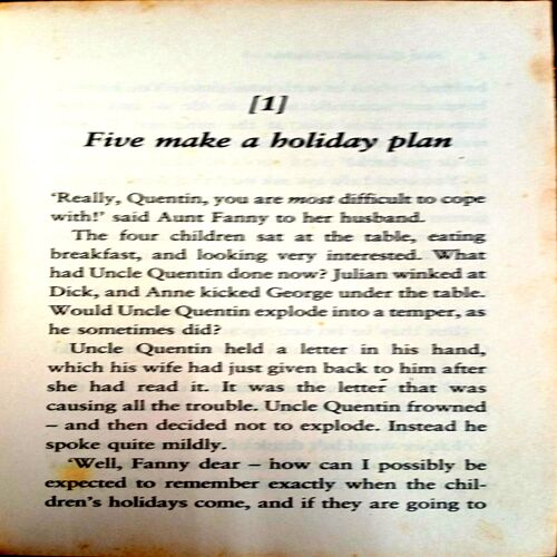 Famous Five (Five Get Into Trouble)