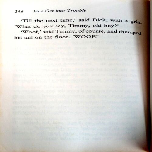 Famous Five (Five Get Into Trouble)