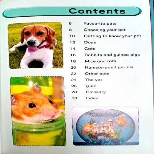 Favourite Pets