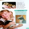 Favourite Pets