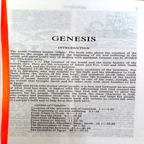 Holy Bible