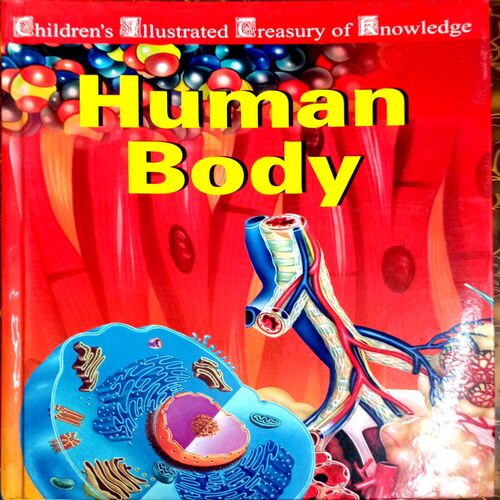 Human Body