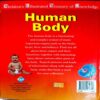 Human Body