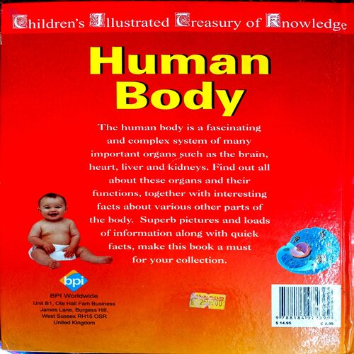 Human Body