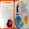 Human Body (Handy Reference For Every Student)