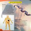 Human Body (Handy Reference For Every Student)