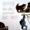 Primates Of India