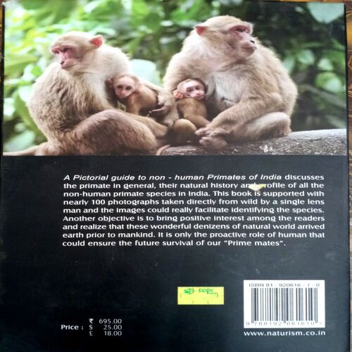 Primates Of India