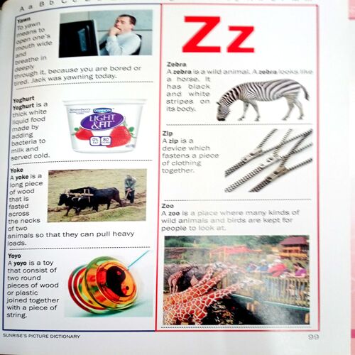 Picture Dictionary