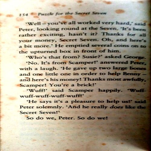 The Secret Seven