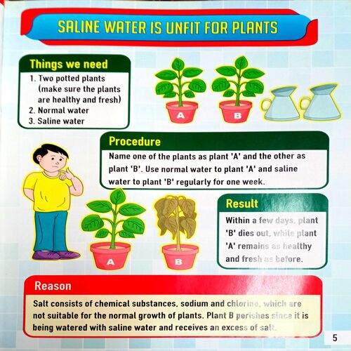 Junior Science Experiments