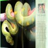 Snakes