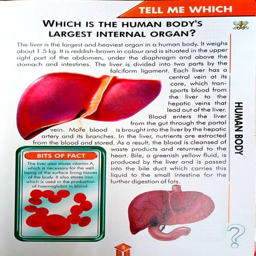 Tell Me Which