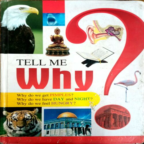 Tell Me Why