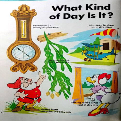 Words That Describe Things