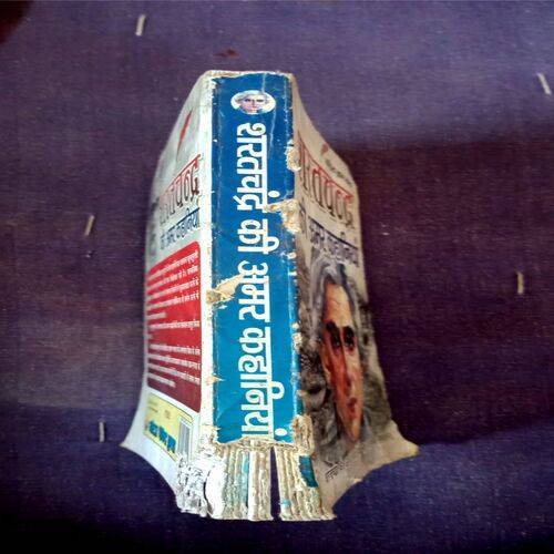 Sharatchandra Ki Amar Kahaniyaan (Sharatchandra)