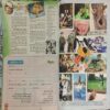 Balhans . Edition : – ( October – 1st – 2009 ).