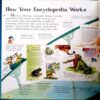 Disney Children's Encyclopedia