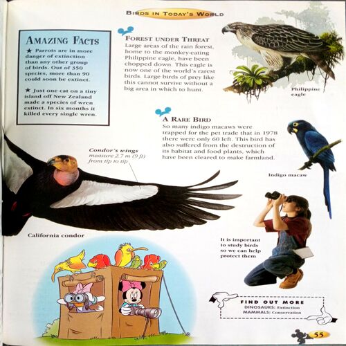 Disney Children's Encyclopedia