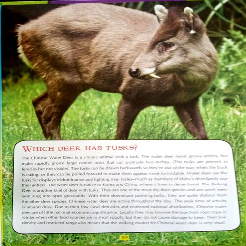 Children's Encyclopedia Amazing Facts