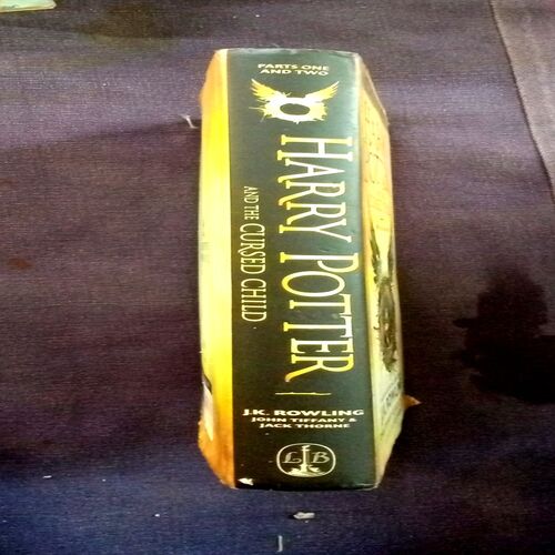 Harry Potter And The Cursed Child