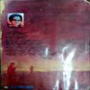 Pinjar (Amrita Pritam)
