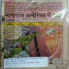Nagraj America Me