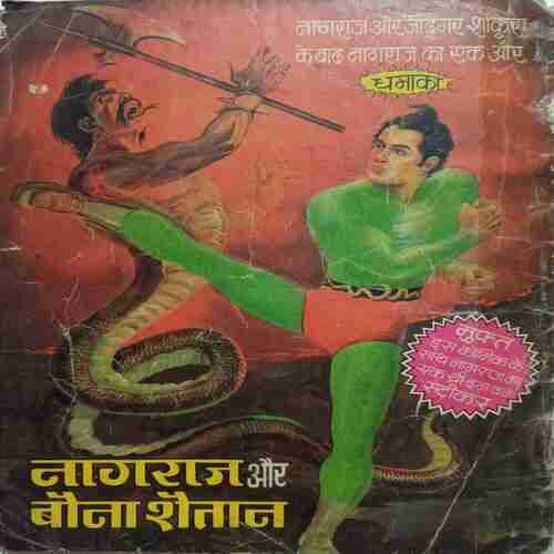 Nagraj Aur Jadugar Sakura
