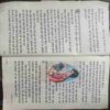 Champak ( May 2nd 1997)