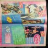 Champak  ( May 1st 1996 )