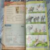 Balhans . Edition : – ( July – 2nd – 2011 ).