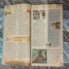 Balhans . Edition : – ( May – 2nd – 2016 ).