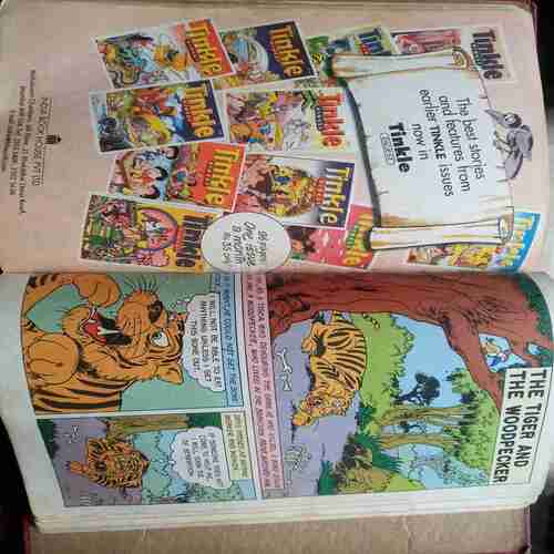 Ganga / Savitri / Mahatma Ganghi-1 / The Tiger and the Woodpecker