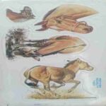 Freebies Stickers