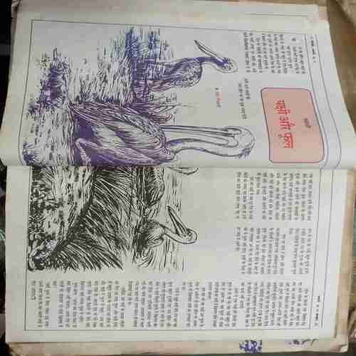 Banding ( Balhans- Jan 2nd-1997/Balhans (Chitrakatha Visheshaank ) Jan-2nd-1996/May-1st-1996.STORY BOOK  :- Najana ki Kahaniyaa Nikalai Nosou Chalo Chalen,  Saabun - Pani Jindabaad ,Nikalai Nasowa , Janu Ne Udan Gubbara Kaise Banaya , Aur FatGaya Gubbara .RAJ COMICS : - Champion , Fighter Pords , Khalnayak .