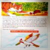 Collection Of Moral Stories